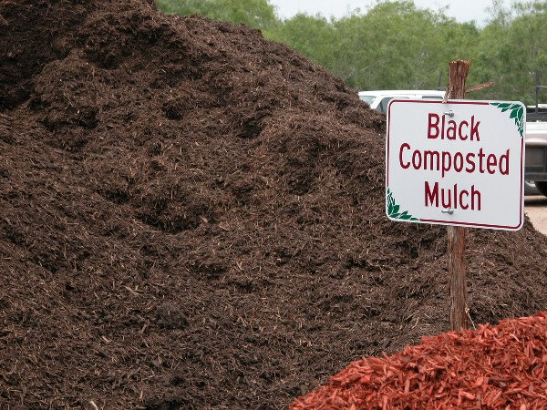 mulch